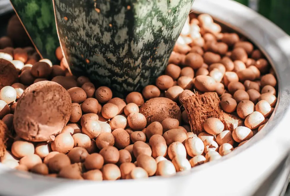 DIY hydroponic nutrients