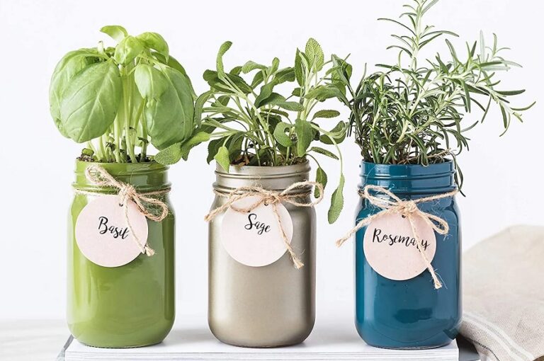 Get started with Mason jar hydroponics: how to grow hydroponic herbs in ...